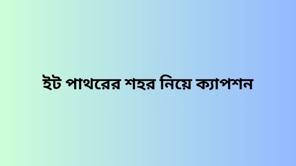 ইট পাথরের শহর নিয়ে ক্যাপশন