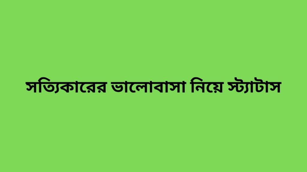 সত্যিকারের ভালোবাসা নিয়ে স্ট্যাটাস