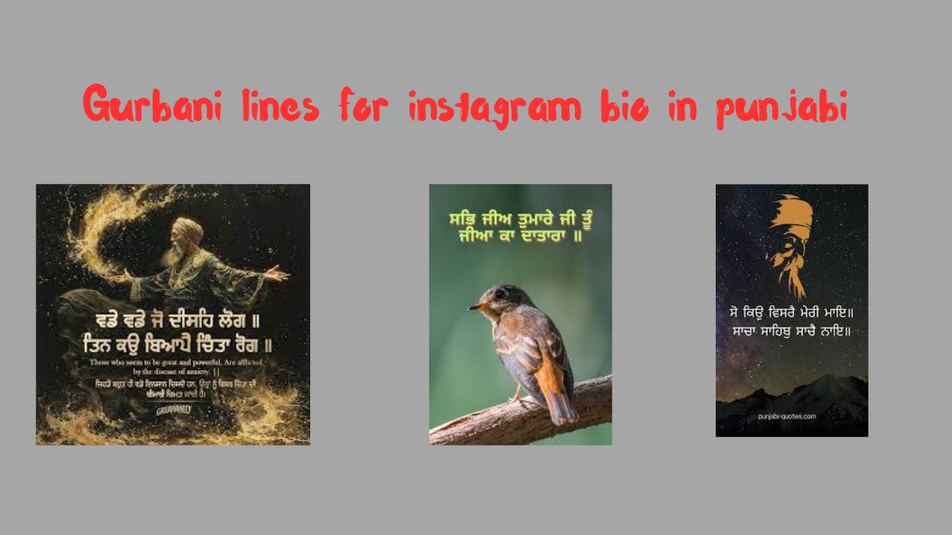 Gurbani lines for instagram bio in punjabi