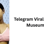 Telegram Viral Video Museum